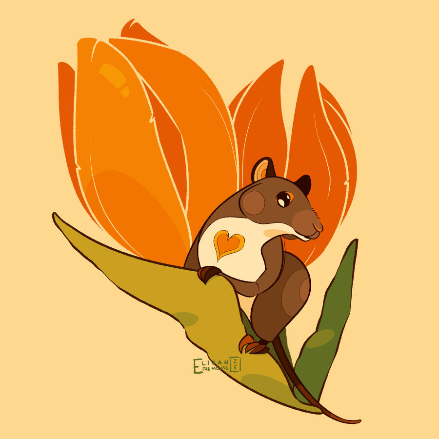 Tulip Mouse Tulip Mouse