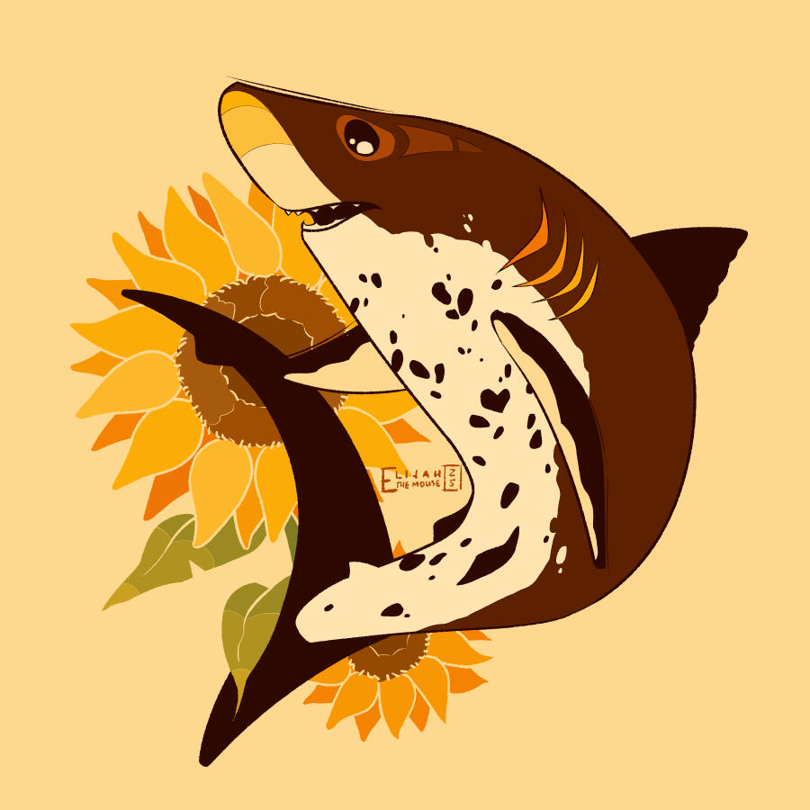 Sunflower Shark Sunflower Shark
