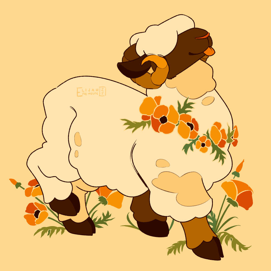 Poppy Sheep Poppy Sheep