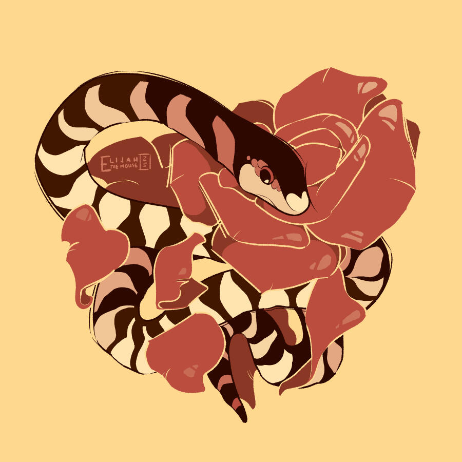 Rose Snake An illustration of a California King Snake, coiled around some pink roses. The shape of the snake and the flowers make a heart.