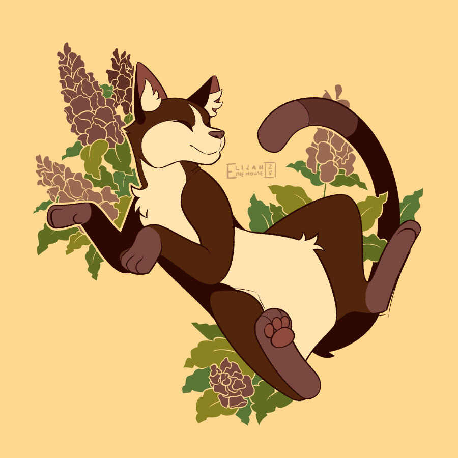 Catnip Housecat Catnip Housecat