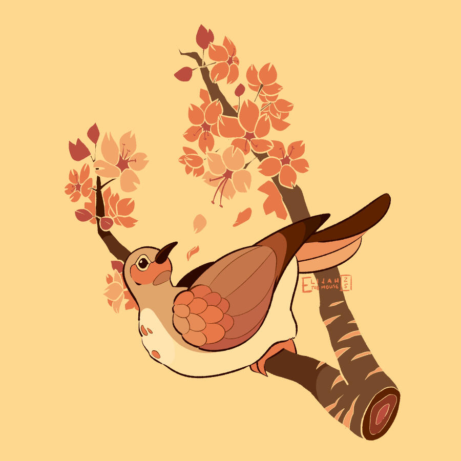 Cherry Blossom Dove Cherry Blossom Dove