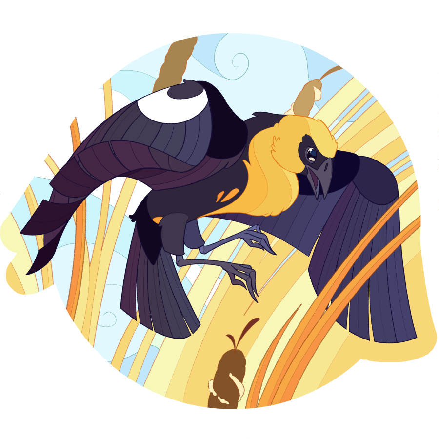 Yellow-headed Blackbird An illustration of a yellow-headed blackbird flying down towards tall yellow grasses and cattails.