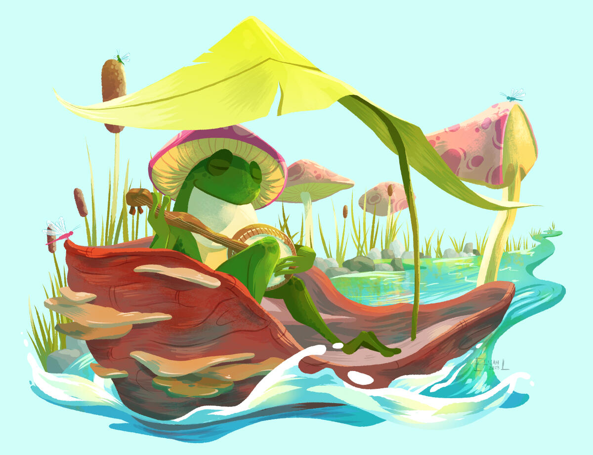 The Banjo Frog The Banjo Frog