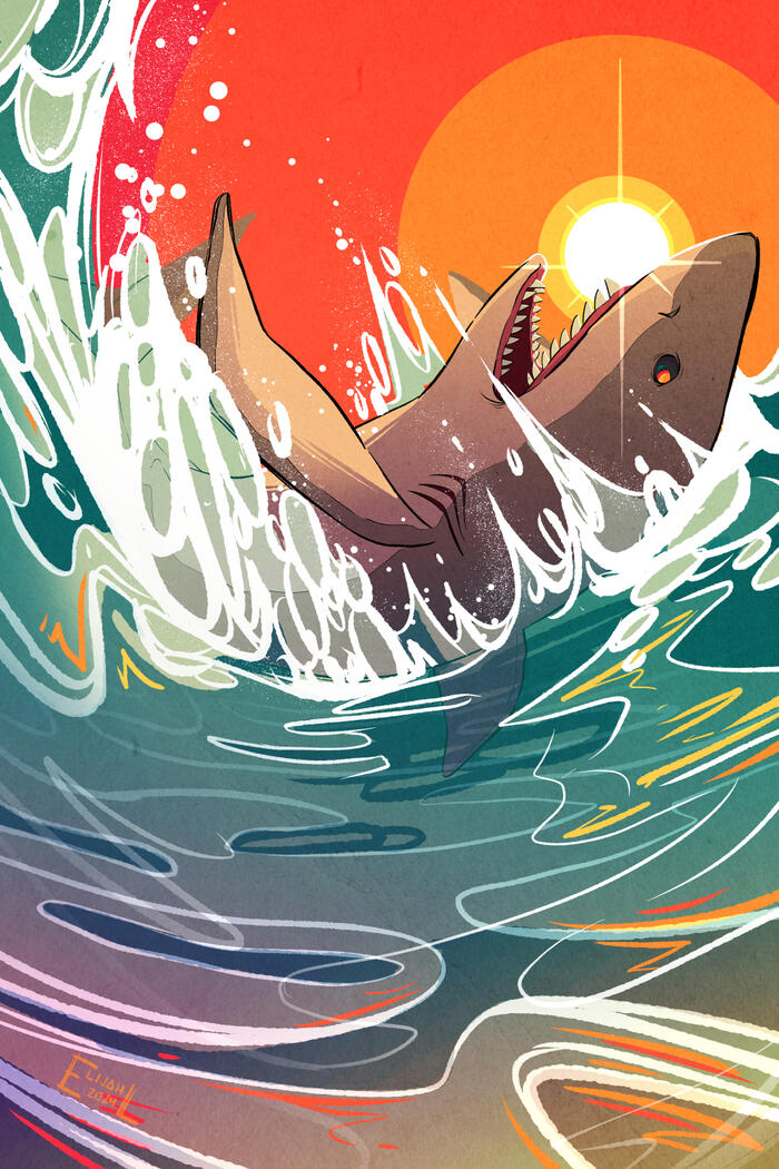 Great White Shark Great White Shark